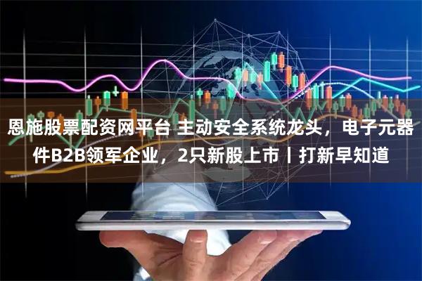恩施股票配资网平台 主动安全系统龙头,电子元器件B2B领军企业,2只新股上市丨打新早知道
