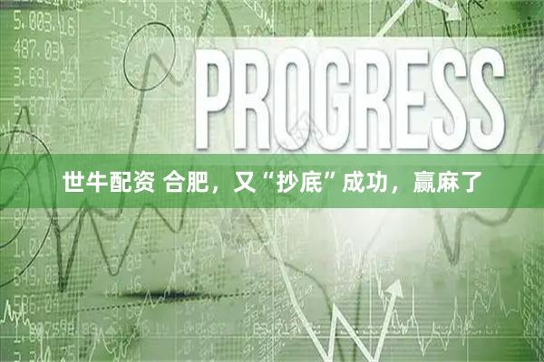 世牛配资 合肥,又“抄底”成功,赢麻了