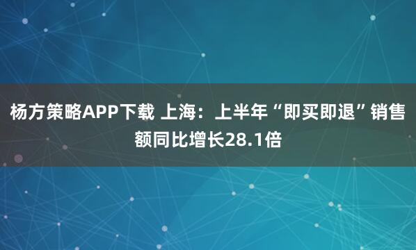 杨方策略APP下载 上海：上半年“即买即退”销售额同比增长28.1倍