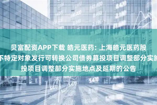 贝富配资APP下载 皓元医药: 上海皓元医药股份有限公司关于向不特定对象发行可转换公司债券募投项目调整部分实施地点及延期的公告