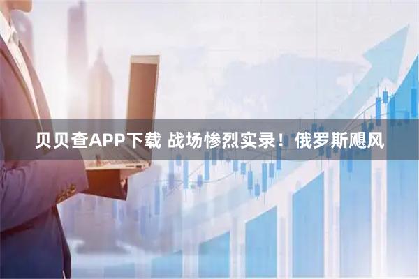 贝贝查APP下载 战场惨烈实录!俄罗斯飓风