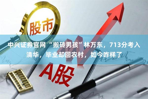 中兴证券官网 “搬砖男孩”林万东，713分考入清华，毕业却回农村，如今咋样了